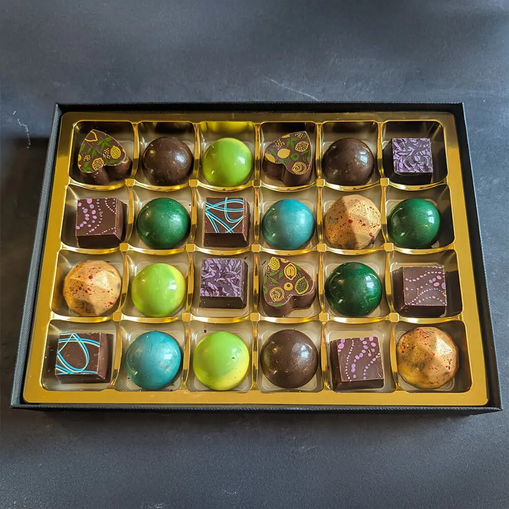 Handmade vegan chocolates featuring premium artisan fillings
